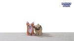 Pocket Pups - Image 2