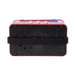 Accordion - Image 8