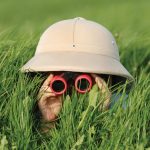Binoculars - Image 2