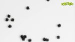 Scritters - Image 2