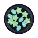 Starlight Kaleidoscope - Image 5