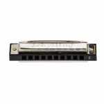 Blues Harmonica - Image 3